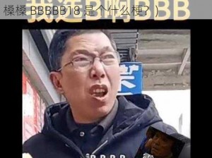 中国槡BBBB槡槡BBBBB18(中国槡 BBBB 槡槡 BBBBB18 是个什么梗？)