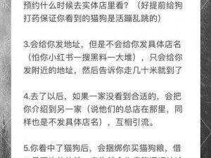 顽石英雄宠物陷阱揭秘：基础玩法指南与实战策略分享