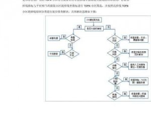 全民公投掉线难题解析：连接深入分析与解决办法