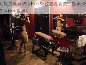 sM乳奴虐乳调教bdsm(极致虐乳调教：探索 sM 乳奴的 bdsm 世界)