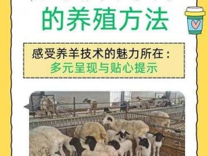 羊可以用来日吗—羊可以用来日吗？这样养羊的方法是否可行？