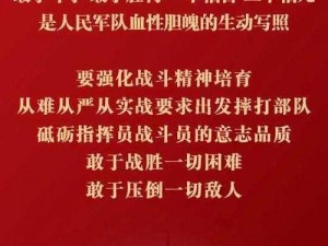 实战指挥：精准作战命令引领胜利之路