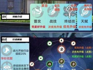 崩坏星穹铁道知更鸟光锥最佳搭配攻略：策略与建议揭秘