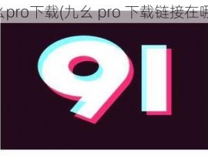 九幺pro下载(九幺 pro 下载链接在哪？)