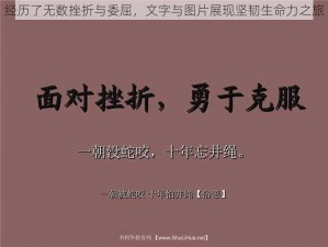 经历了无数挫折与委屈，文字与图片展现坚韧生命力之旅