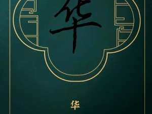 汉字神操作：探索華字之谜，解锁十二字过关攻略大揭秘