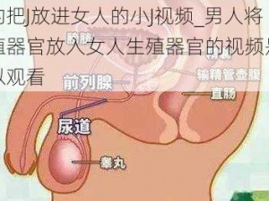 男的把J放进女人的小J视频_男人将生殖器官放入女人生殖器官的视频是否可以观看