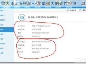 鲁大师无码视频——功能强大的硬件检测工具