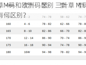 三叶草M码和欧洲码区别 三叶草 M 码和欧洲码有何区别？