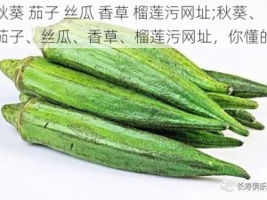 秋葵 茄子 丝瓜 香草 榴莲污网址;秋葵、茄子、丝瓜、香草、榴莲污网址，你懂的