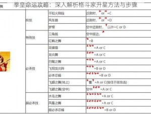 拳皇命运攻略：深入解析格斗家升星方法与步骤