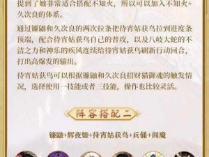 阴阳师待宵姑获鸟阵容策略：高效搭配指南与实战技巧全解析