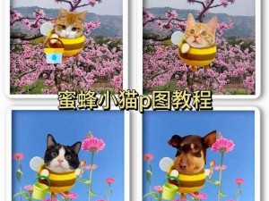 蜜蜂猫表情包盛行，萌趣表情分享欢乐时刻