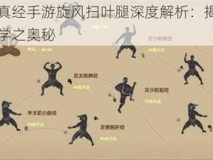 九阴真经手游旋风扫叶腿深度解析：揭秘九九武学之奥秘