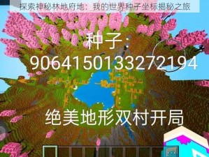 探索神秘林地府地：我的世界种子坐标揭秘之旅