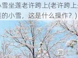 小雪坐莲老许跨上(老许跨上坐莲的小雪，这是什么操作？)