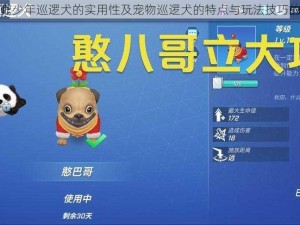 关于逃跑吧少年巡逻犬的实用性及宠物巡逻犬的特点与玩法技巧的全面解析