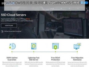 欧美VPSWINDOWS性另类;探寻欧美 VPSWINDOWS 性另类的独特之处