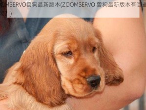 ZOOMSERVO兽狗最新版本(ZOOMSERVO 兽狗最新版本有哪些新功能？)