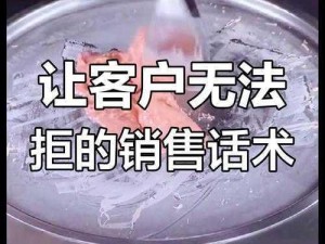 销售的销售秘密3【销售的销售秘密 3：如何应对客户的拒绝？】