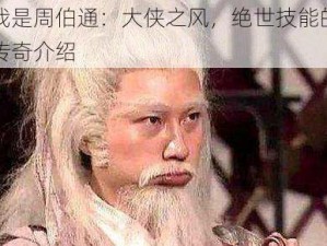 我是周伯通：大侠之风，绝世技能的传奇介绍