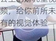 军长的粗大挺进公主的娇乳里视频，给你前所未有的视觉体验