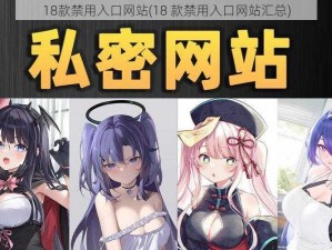 18款禁用入口网站(18 款禁用入口网站汇总)