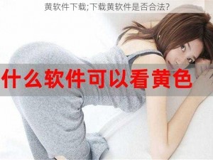 黄软件下载;下载黄软件是否合法？