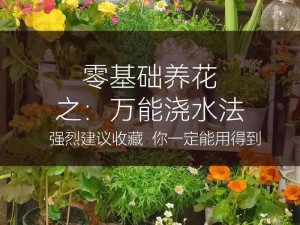 迷你世界互助浇水攻略：如何为好友植物提供滋润，详解浇水方法与步骤