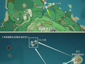 原神海灵芝生长地揭秘：全面分布图解析，探寻海灵芝生长实况