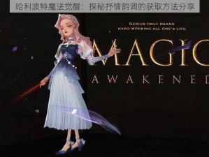 哈利波特魔法觉醒：探秘抒情韵调的获取方法分享