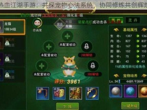 热血江湖手游：共探宠物心法系统，协同修炼共创辉煌