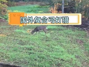 零之国度的狩猎之道：探索狩猎界限与技巧的全面分享