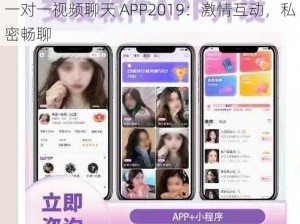 大尺度一对一视频聊天APP 2019_大尺度一对一视频聊天 APP2019：激情互动，私密畅聊