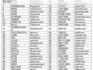 2021秘密入口网站,2021 年秘密入口网站大揭秘