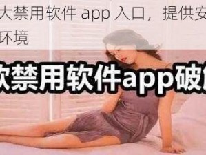 夜里十大禁用软件 app 入口，提供安全可靠的网络环境