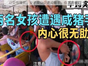 公交性骚扰、女子乘公交遭咸猪手，你怎么看？