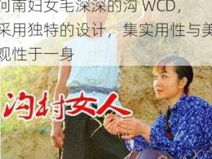 河南妇女毛深深的沟 WCD，采用独特的设计，集实用性与美观性于一身