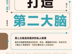 第二人生玩转超级大脑挑战：探索脑力激荡的新征程