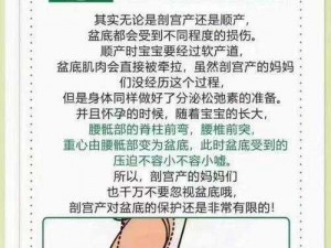 991精产三产区区别首次亮相_991 精产三产区有何区别？首次亮相引发关注