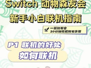 动物森友会联机指南：如何联机与伙伴共游？