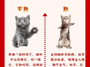 猫咪就位传闻真假揭秘：真相究竟如何？