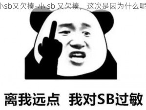 小sb又欠揍-小 sb 又欠揍，这次是因为什么呢？