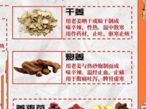 江湖悠悠：生姜食谱概览，探索养生美食之旅