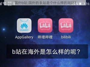 国外b站;国外的 B 站是个什么样的网站？