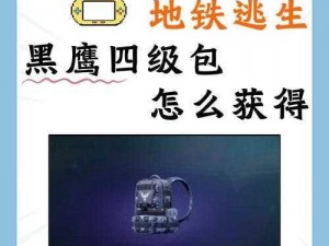 和平精英安装包下载指南：安全渠道获取与快速安装步骤