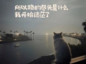 生活迷失方向的迷茫与探寻：如何在纷繁世界寻找自我方向之路