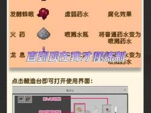 深入探索制作过程：伤害药水制作的详尽指南