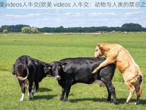 欧美videos人牛交(欧美 videos 人牛交：动物与人类的禁忌之爱)