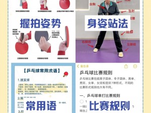 关于乒乓快打安装及配置的详细说明与操作指南